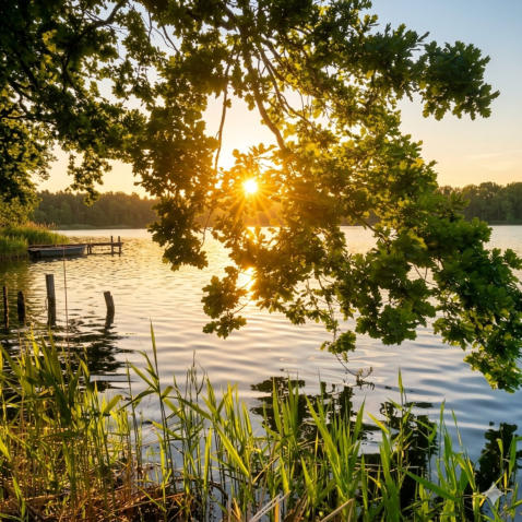 Kieschnicks Pension Koblenz am Knappensee